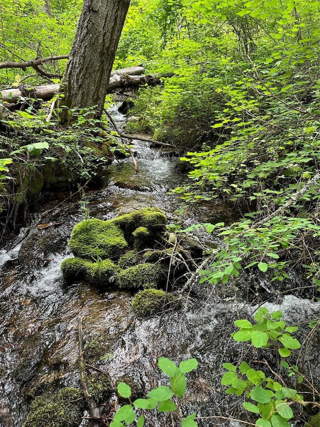 8 Cedar Gulch Ln, Thompson Falls, MT 59873 - view of nature