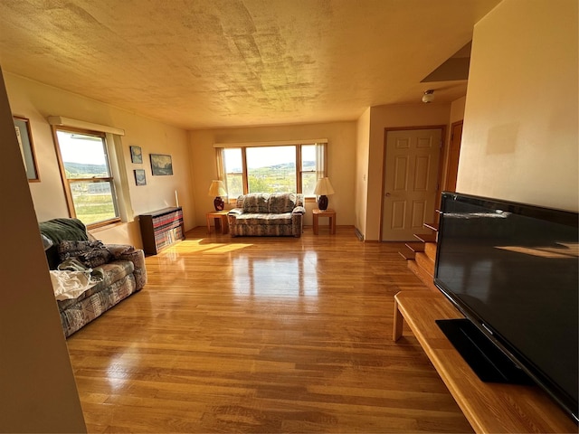 living area featuring wood finished floors