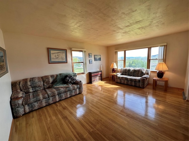 living room with wood finished floors