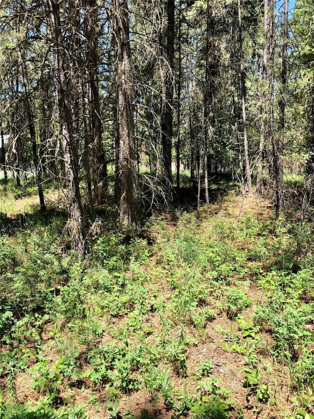 Nhn Syringa Lane, Libby MT, 59923 land for sale