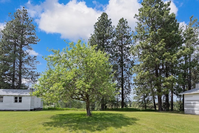 view of yard with a storage unit