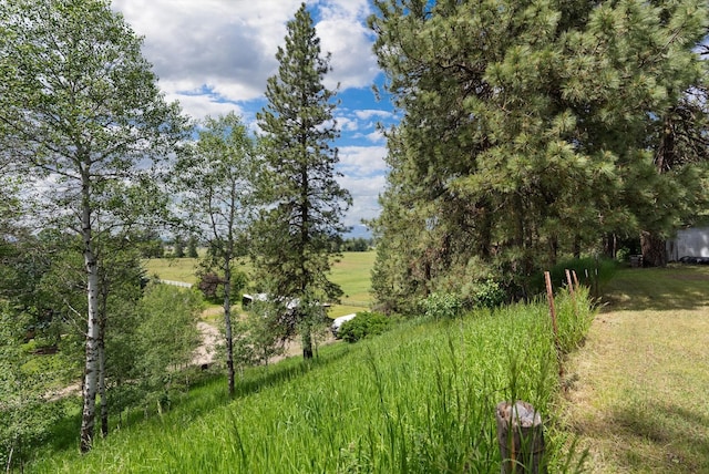 view of landscape