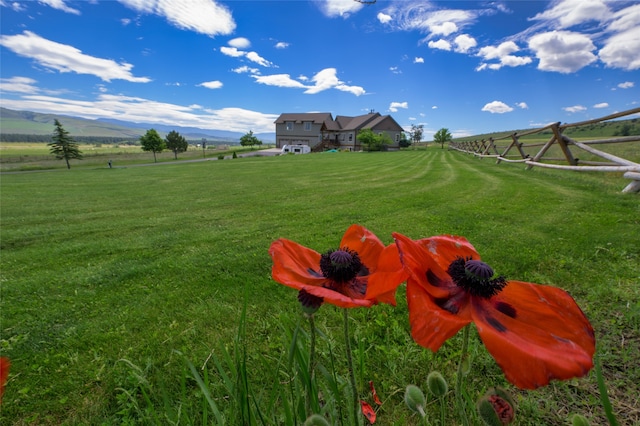 view of yard featuring a mountain view and a rural view