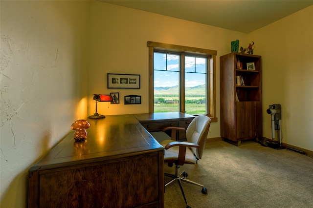 office space with carpet floors