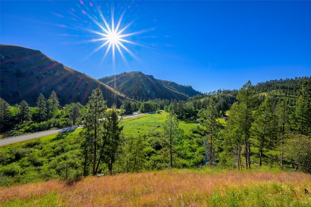 view of mountain feature featuring a view of trees