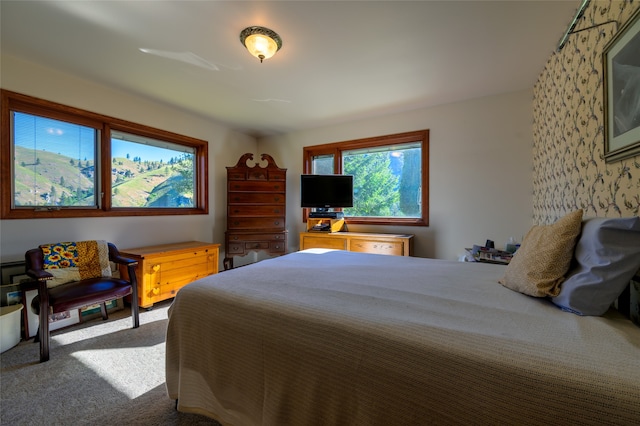 view of carpeted bedroom