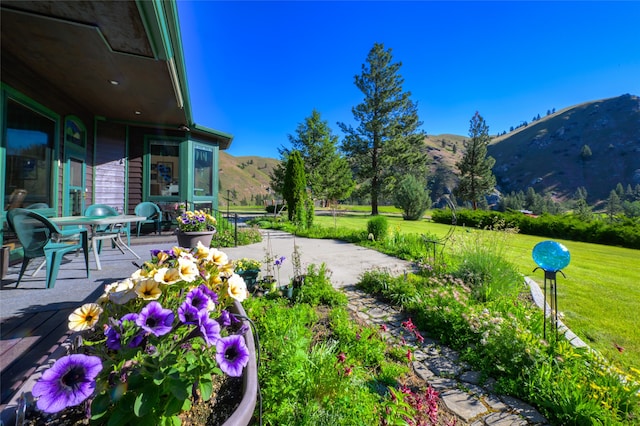 view of yard with a mountain view and a patio