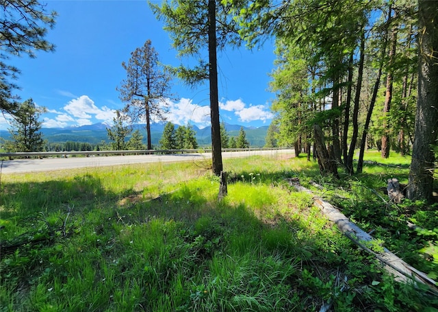 KNA Ramona Dr, Libby MT, 59923 land for sale