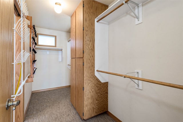 walk in closet featuring carpet