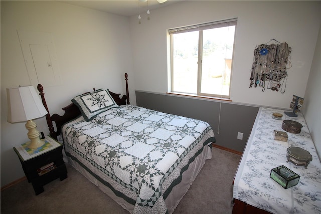 bedroom with carpet flooring