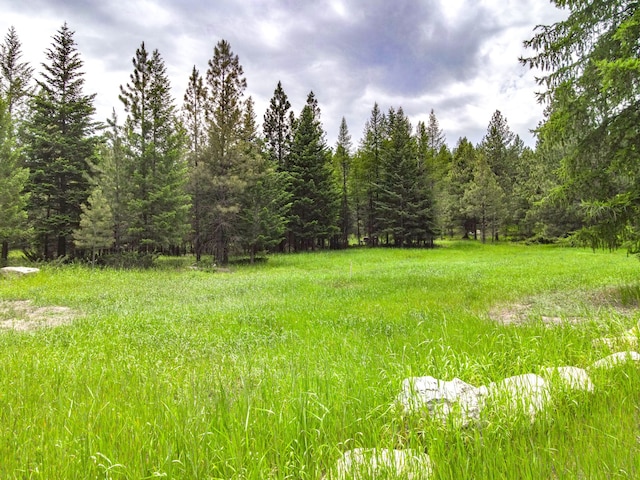 546 Bald Rock Rd, Kalispell MT, 59901 land for sale