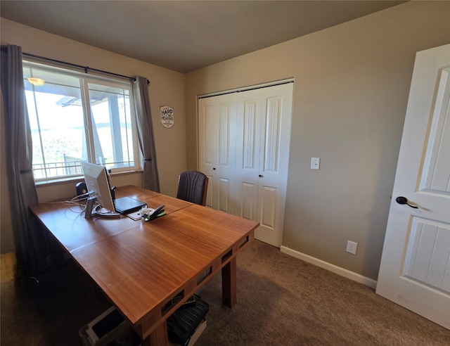 office with baseboards and carpet