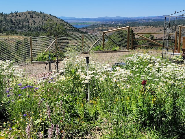 view of yard with fence and a mountain view