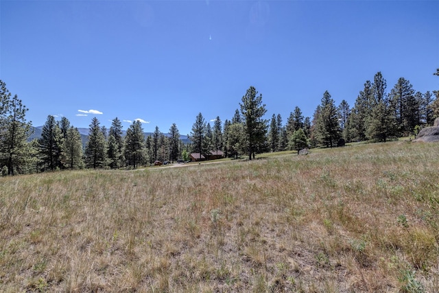 Listing photo 2 for 2 Middle Loop Rd, Clancy MT 59634