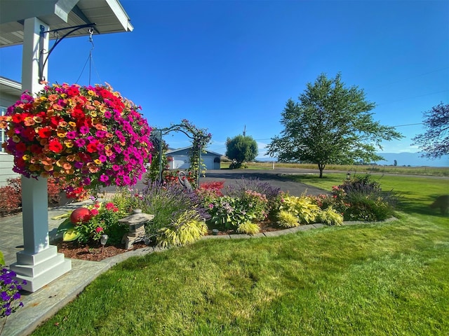33953 Fox Rd, Polson, MT 59860 - view of green lawn