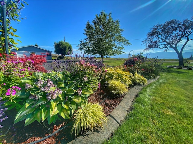 33953 Fox Rd, Polson, MT 59860 - view of green lawn