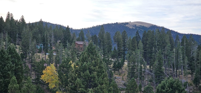 view of mountain feature featuring a forest view