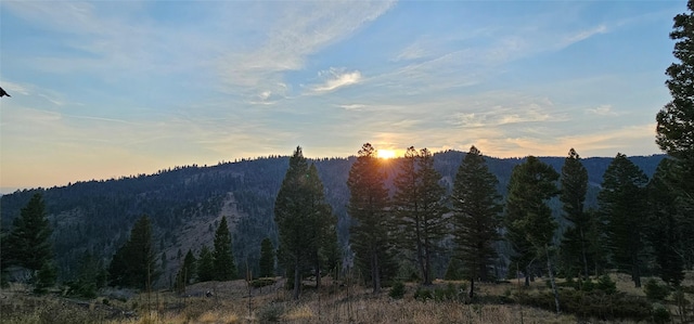 view of mountain feature with a forest view