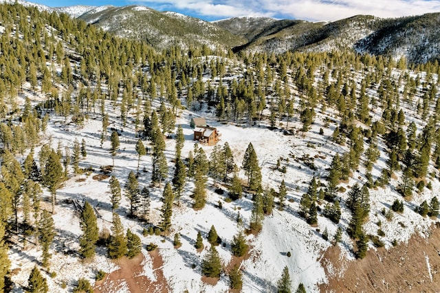 snowy aerial view featuring a mountain view