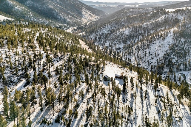 snowy aerial view with a mountain view