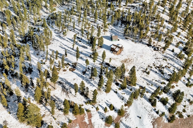 view of snowy aerial view