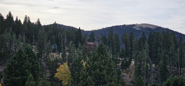 mountain view with a view of trees