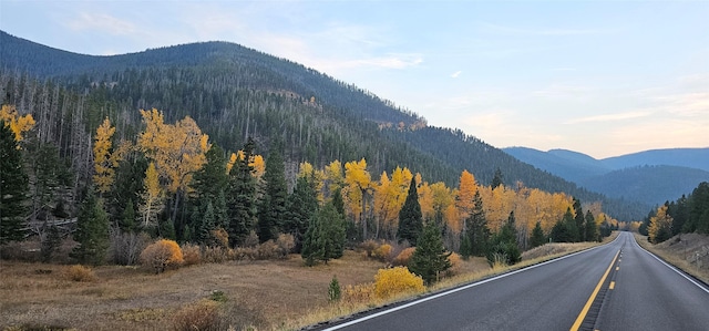 property view of mountains with a forest view