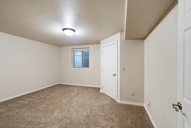 basement featuring carpet