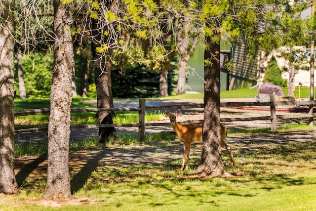 view of home's community