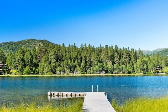 property view of water with a mountain view and a dock