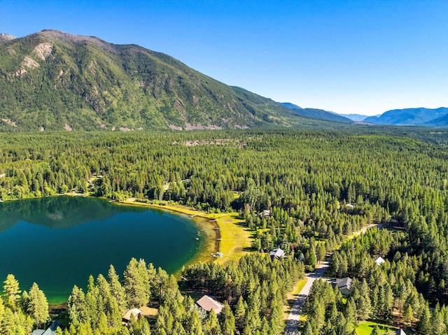 birds eye view of property featuring a water and mountain view