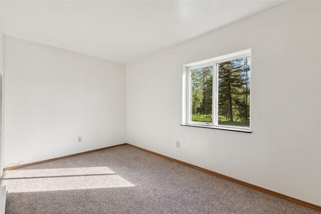 unfurnished room featuring carpet floors