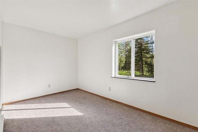 8100 US Highway 2 W, Marion, MT 59925 - spare room with carpet flooring and baseboards