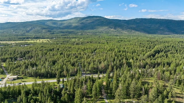 8100 US Highway 2 W, Marion, MT 59925 - view of mountain backdrop with a heavily wooded area