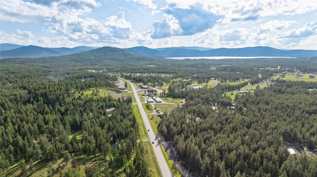 8100 US Highway 2 W, Marion, MT 59925 - bird's eye view of a heavily wooded area