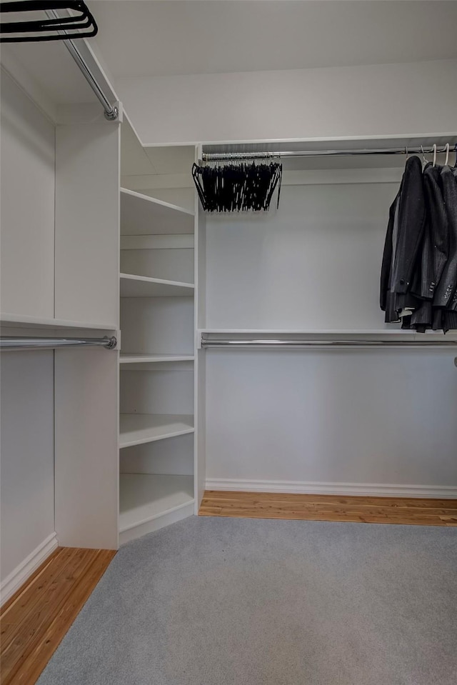 spacious closet with light carpet