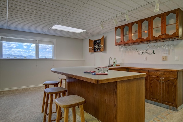 bar with sink, light colored carpet, and rail lighting