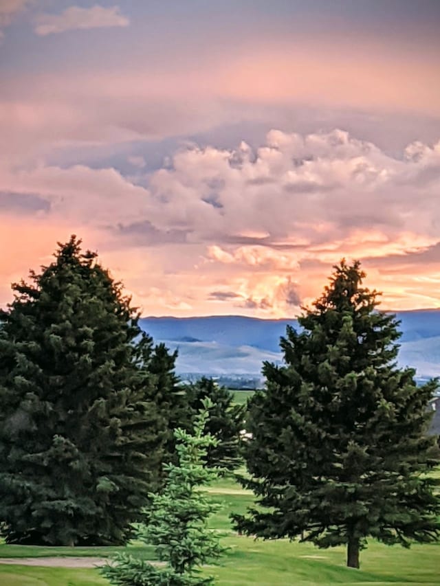 view of nature at dusk