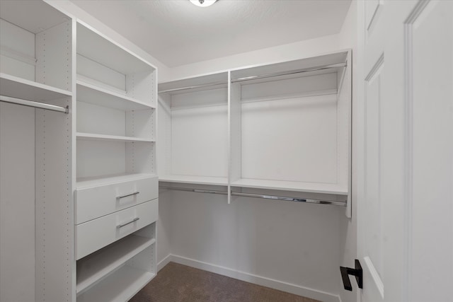 spacious closet with dark colored carpet