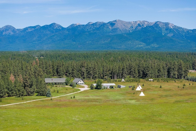 233 Coverdell Rd, Bigfork, MT 59911 - view of mountain background with a forest