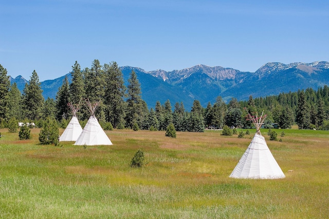 233 Coverdell Rd, Bigfork, MT 59911 - mountain view with a forest