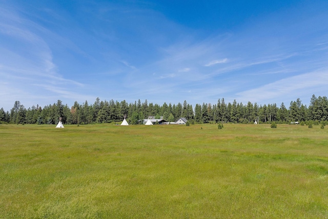 view of local wilderness with a rural view