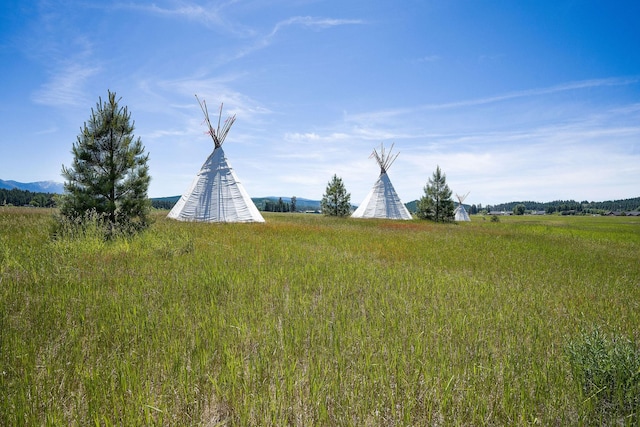 233 Coverdell Rd, Bigfork, MT 59911 - view of yard
