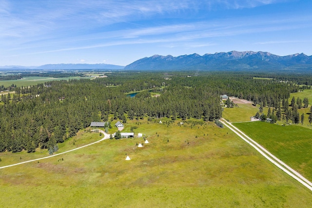 bird's eye view featuring a mountain view