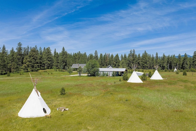 233 Coverdell Rd, Bigfork, MT 59911 - view of yard