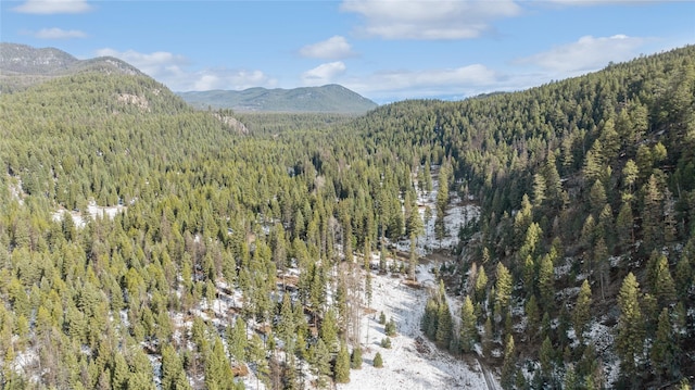 view of mountain feature featuring a wooded view