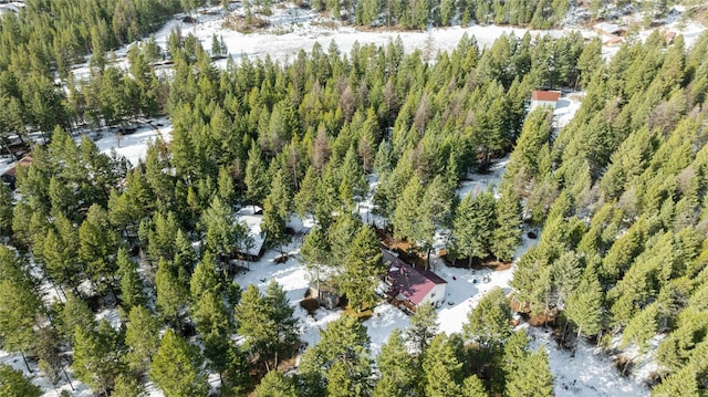 birds eye view of property featuring a forest view