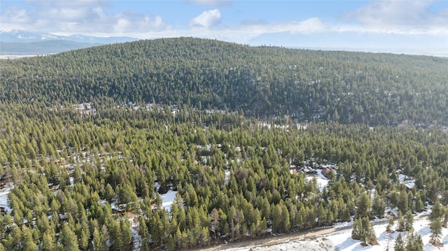 mountain view featuring a wooded view