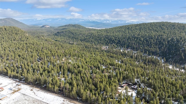 view of mountain feature with a forest view