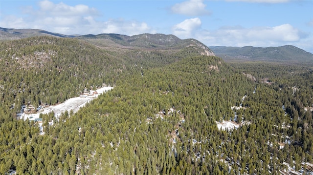 view of mountain feature with a forest view